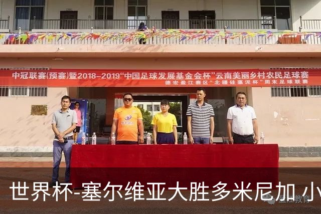 世界杯-塞尔维亚大胜多米尼加 小组第二进八强