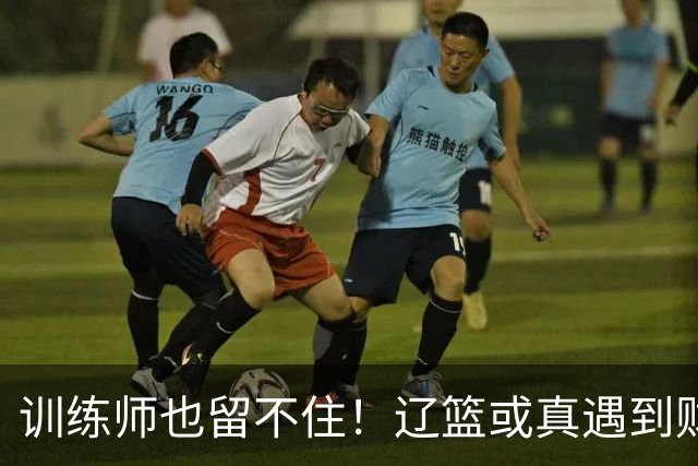 训练师也留不住！辽篮或真遇到财务危机，赵继伟付豪也不是不能卖
